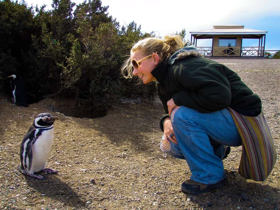Punta Tombo for cruise-ship passengers - How much time do you really get?