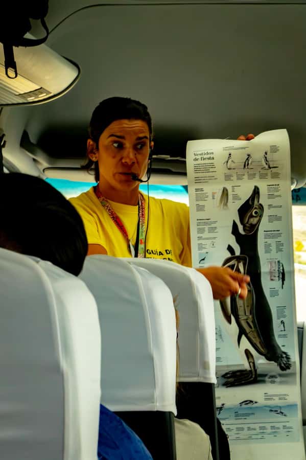Punta Tombo Shore Excursion for Cruise Passengers + City - Is $105 a fair price?
