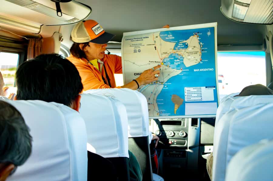 Punta Tombo Shore Excursion for Cruise Passengers + City - The guides and group experience