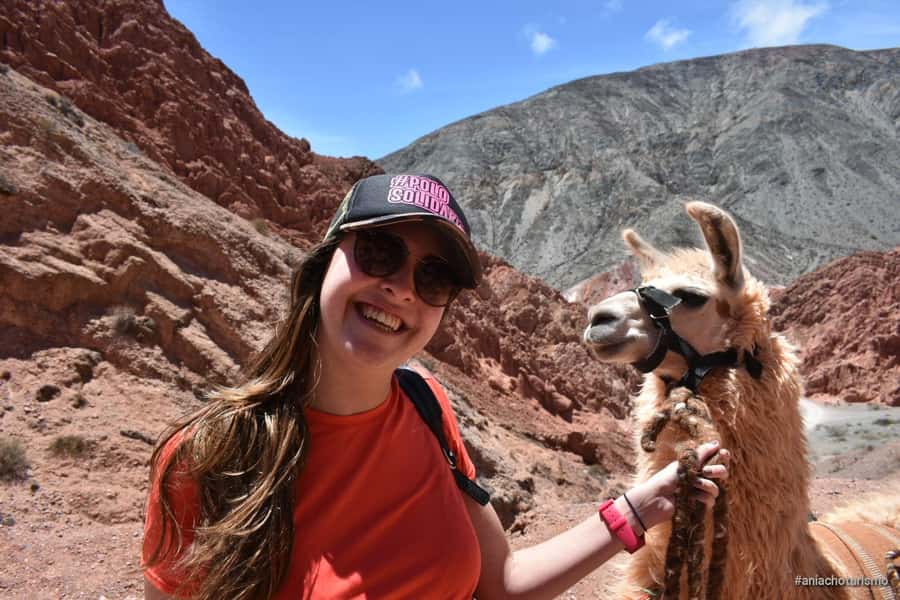 Purmamarca: Hiking with Llamas through multicolored mountains - The best parts of the llama walk