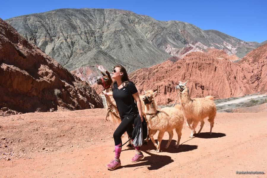 Purmamarca: Hiking with Llamas through multicolored mountains - Small groups make the difference