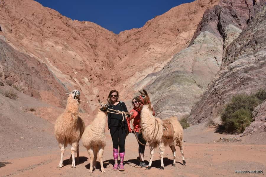 Purmamarca: Hiking with Llamas through multicolored mountains - Is the experience good value?