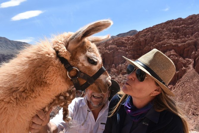 Purmamarca Walk with Llamas - Key points to know before you book
