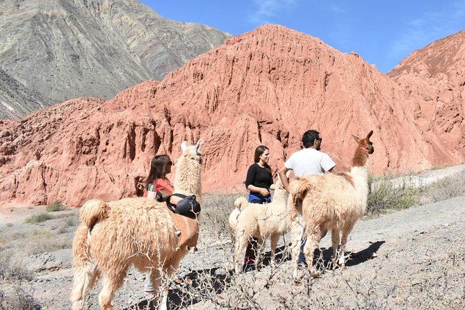 Purmamarca Walk with Llamas - The private format is worth more than a fixed group tour