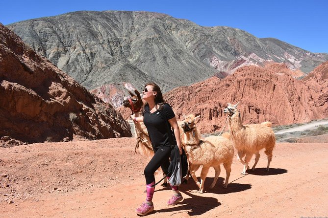Purmamarca Walk with Llamas - Meeting in Purmamarca, not starting from a distant trailhead