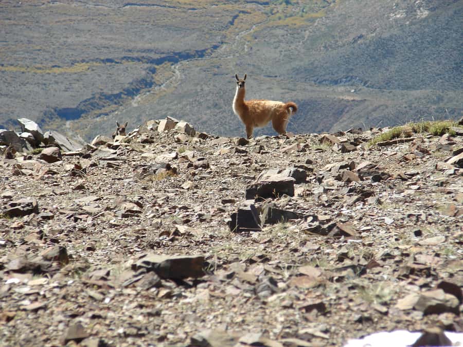 Rancho Gaucho Estate 3 Days in The Andes - Should you book Rancho Gaucho Estate?