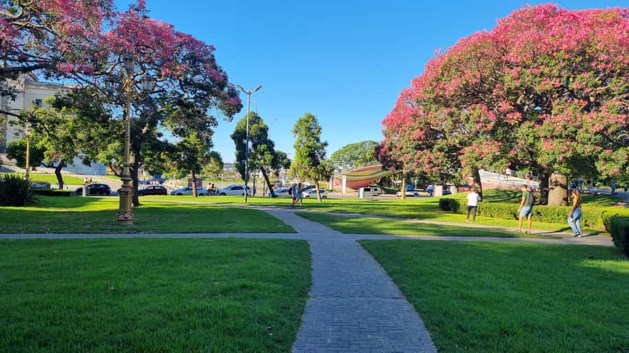 Recoleta Walking Tour and Live Jazz Show - Plaza Francia and the Pilar church