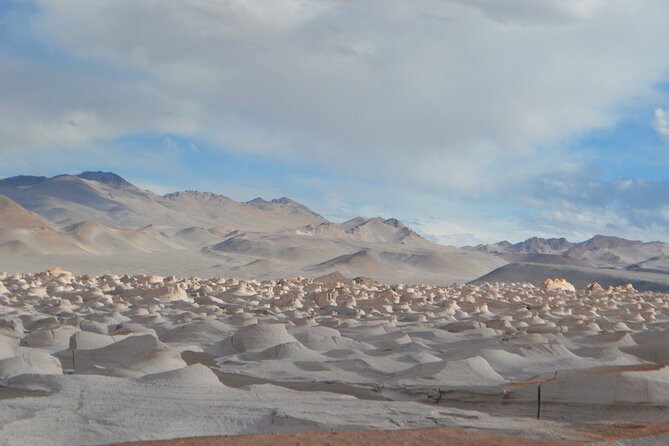 Road Trip Adventure Across North West Argentina - Day 5: Fiambalá’s dunes and wine grown in sand