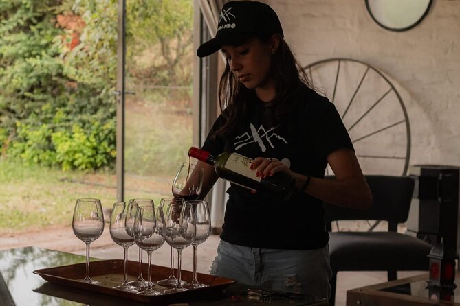 Roast and Empanadas Class with Wine |Mendoza|Braseando Experience - Is $160 per person fair?