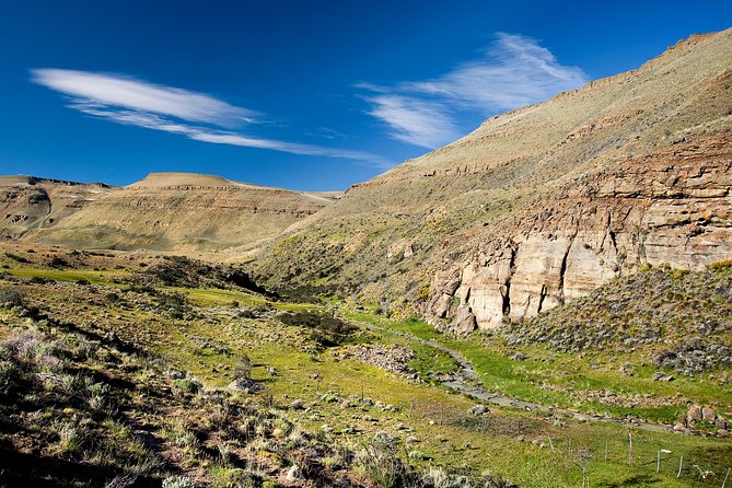 Safari Experience - Wildlife & Steppe - Why Estancia 25 de Mayo makes a good setting