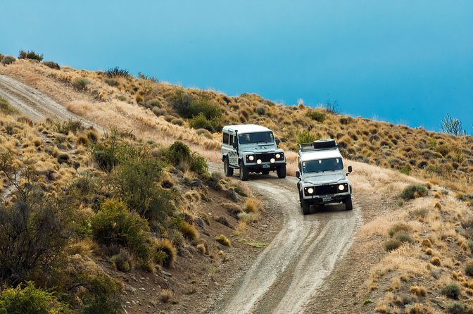 Safari Experience - Wildlife & Steppe - Wildlife watching: what you may see
