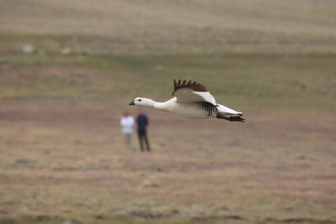Safari Experience - Wildlife & Steppe - The estancia meal brings the day together