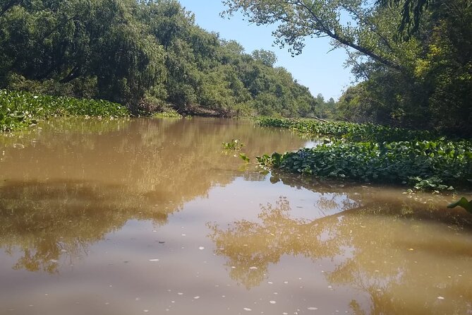 Safari náutico en tigre - The Segunda Sección and its wildlife