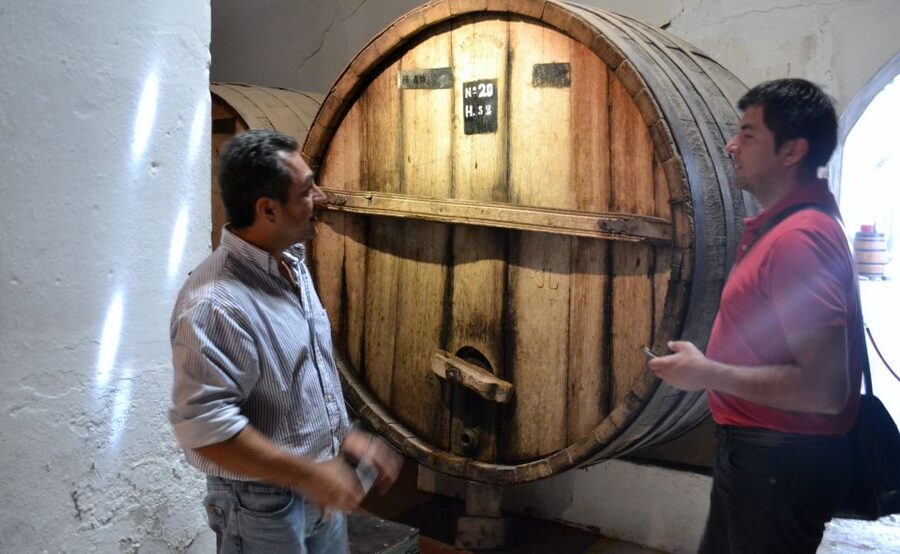 Salta: 2-Day Tour to Cafayate - Leaving Salta through the Lerma Valley