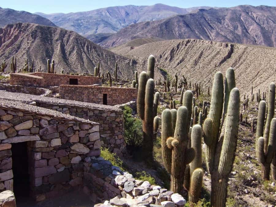 Salta: Quebrada de Humahuaca and Purmamarca Day Trip - Maimara and La Paleta del Pintor