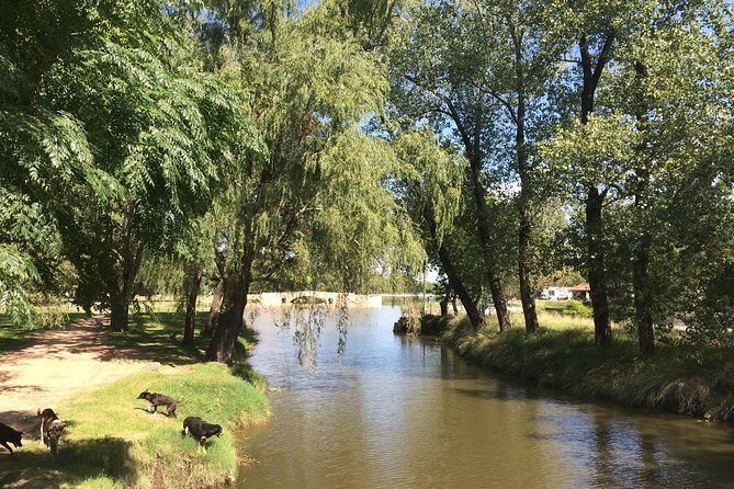 San Antonio de Areco and Lujan Day Trip from Buenos Aires - What the guide adds to the day