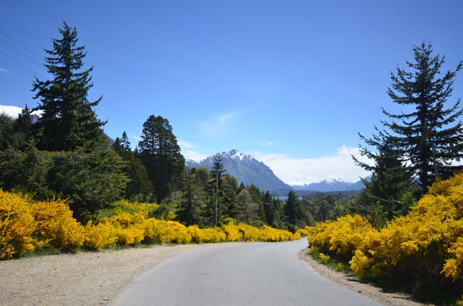 San Martín de los Andes por 7 Lagos - Key points along Argentina’s Seven Lakes Route