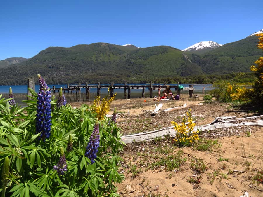 San Martín de los Andes por 7 Lagos - Why this full-day route is worth your time