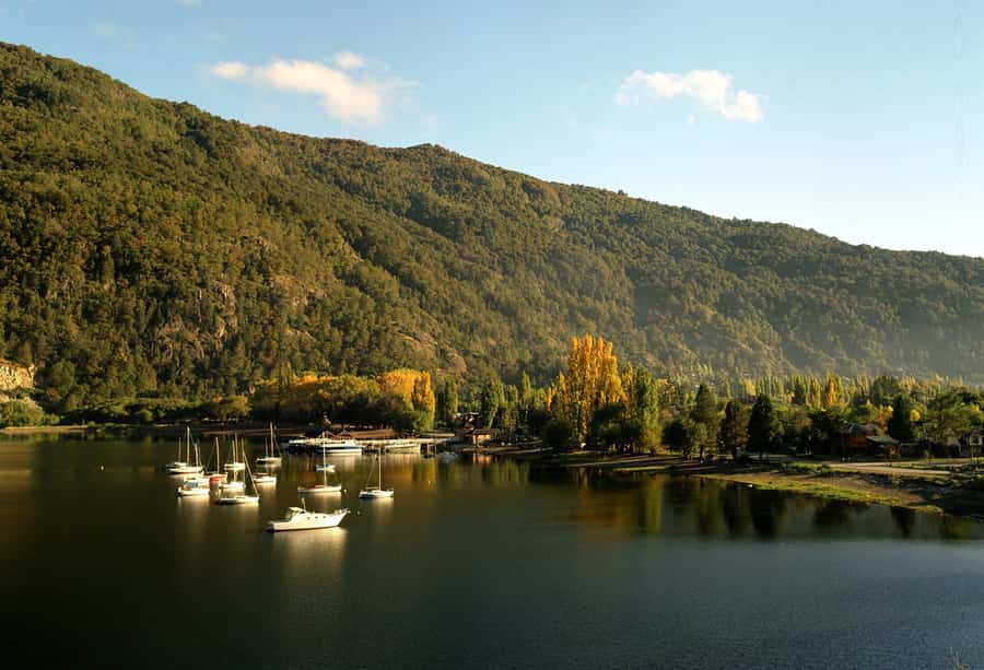 San Martín de los Andes por 7 Lagos - Nahuel Huapi National Park and the wildlife question