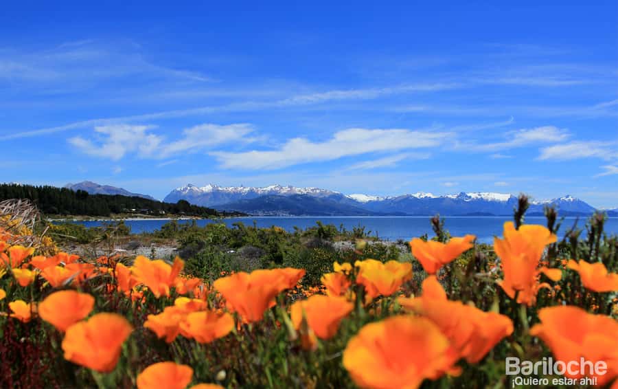 San Martín de los Andes por 7 Lagos - Spanish guiding and the quality of the day