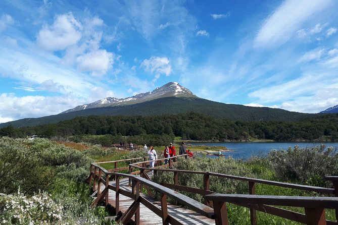Shore Excursion - National Park Tierra del Fuego - Starting at the Ushuaia cruise pier