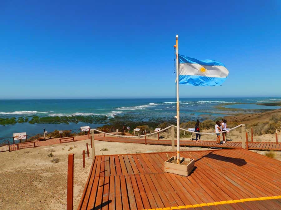 Shore Tours Peninsula Valdes Puerto Madryn Cruise Passengers - Why Península Valdés is worth your shore day