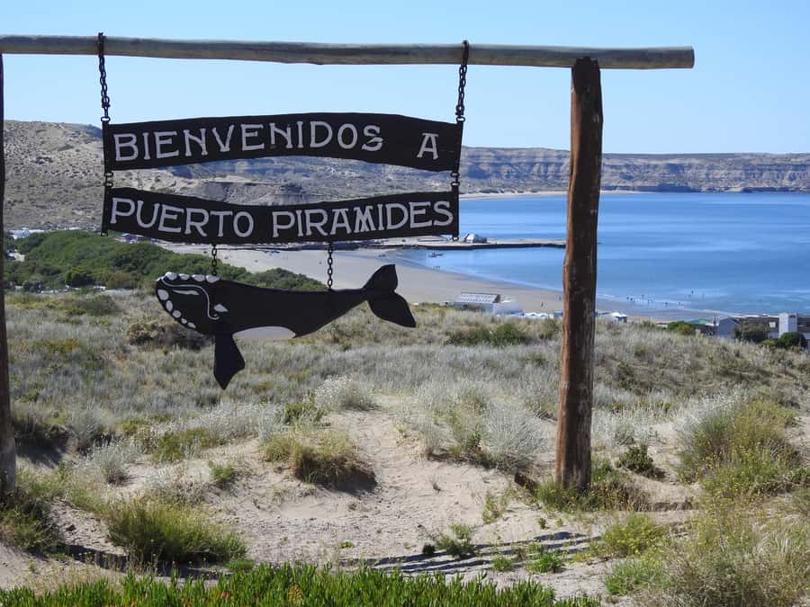Shore Tours Peninsula Valdes Puerto Madryn Cruise Passengers - The first hour: road to El Desempeño
