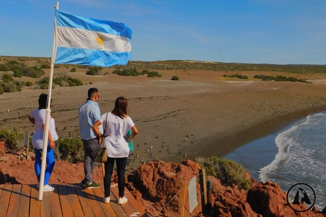 Shore Tours Punta Tombo Cruise Ship Passengers Puerto Madryn - Key points before you book