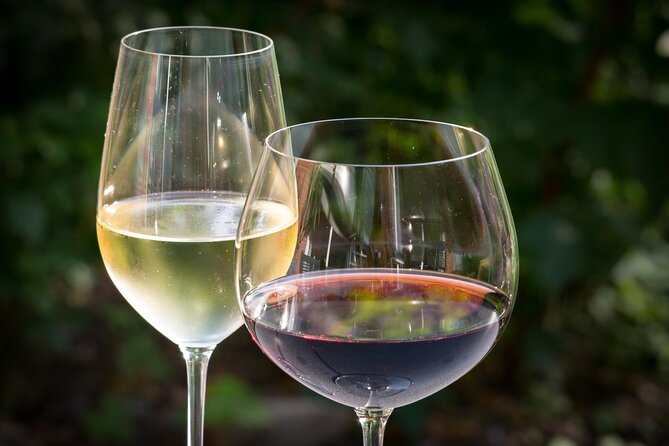 Small group Argentinian Wines and Malbec Tasting & Urban Art Tour - Four Argentine wines with a proper picada