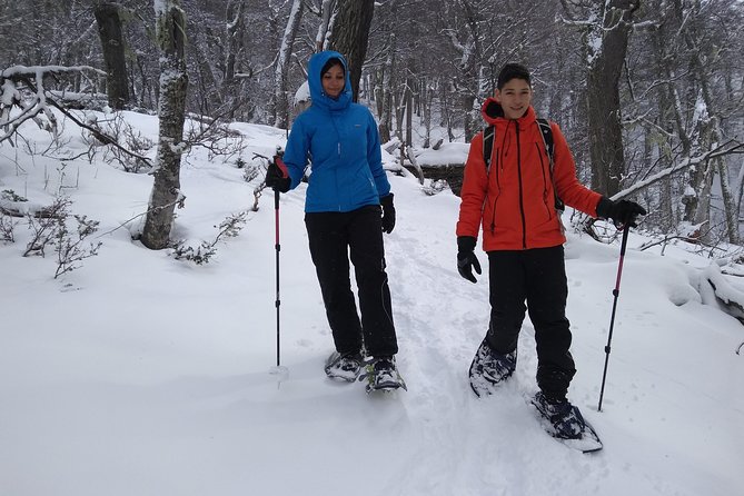 Snow excursion in Bariloche - Suitable for the whole family - Pickup at 10:00 and the ride into the park