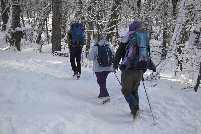Snow excursion in Bariloche - Suitable for the whole family - One to two hours of walking, then plenty of play