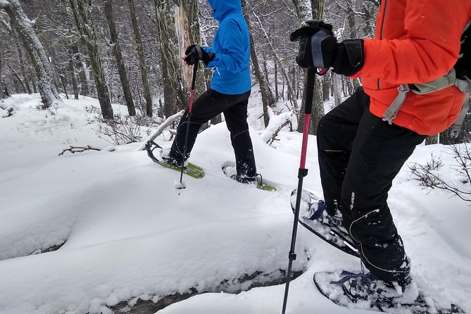 Snow excursion in Bariloche - Suitable for the whole family - Tea, handmade alfajor, and a simple mountain picnic