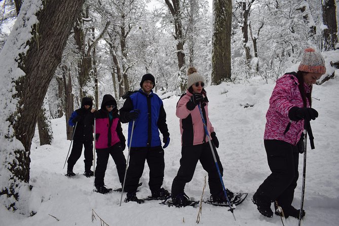 Snow excursion in Bariloche - Suitable for the whole family - Choosing the right walk in Nahuel Huapi National Park