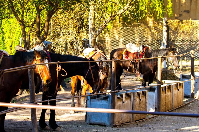 Sunset Horseback Riding - From Mendoza City to the hills of Lunlunta