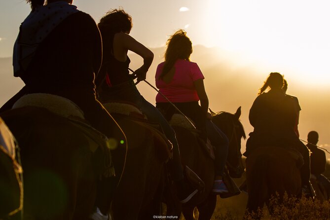Sunset Horseback Riding - Two hours through river country and low hills
