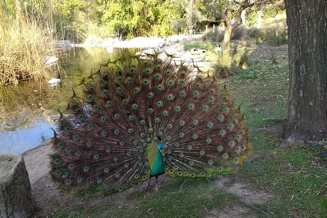 Temaiken Biopark Buenos Aires Tour - Leaving Buenos Aires at 9:00 a.m.