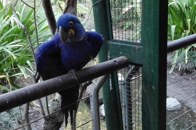 Temaiken Biopark Buenos Aires Tour - Why the aquarium deserves a proper stop