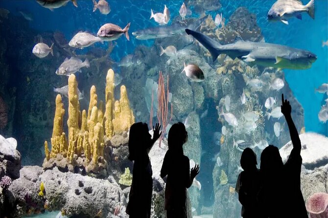 Temaiken Biopark Buenos Aires Tour - Is $133.50 a fair price?