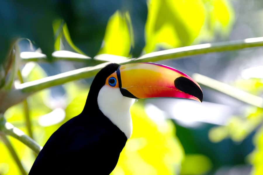 Temaiken Biopark Entry Tickets - Is $33 good value for eight hours?