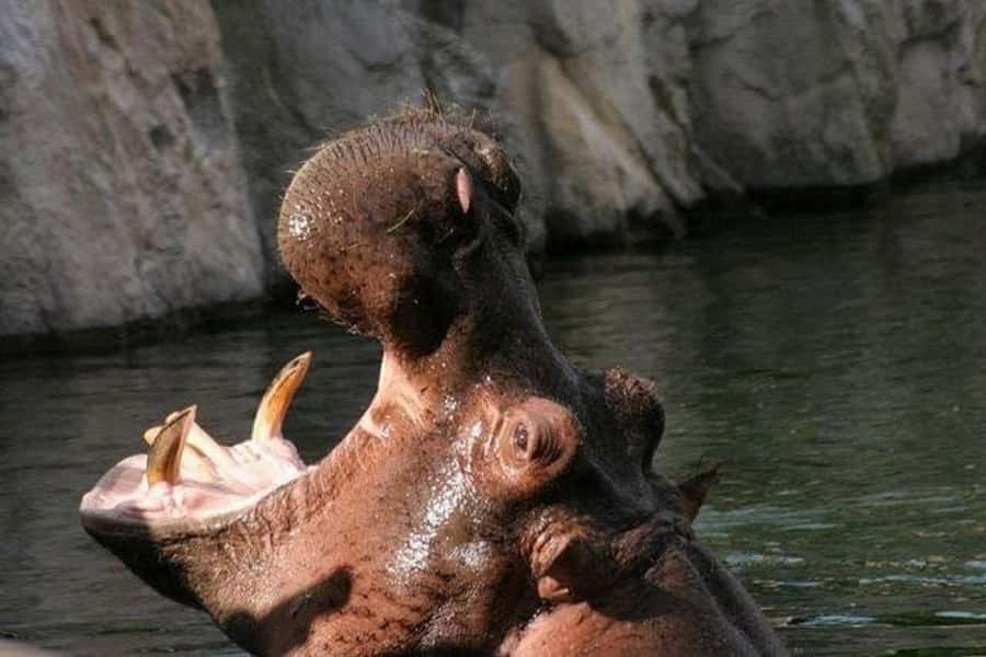 Temaiken Biopark Entry Tickets - The aquarium is worth making time for