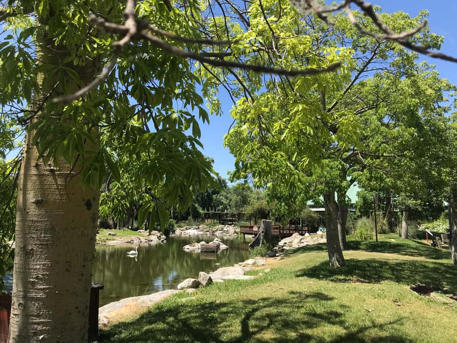 Temaiken Biopark Entry Tickets - Gardens, conservation, and the museum elements