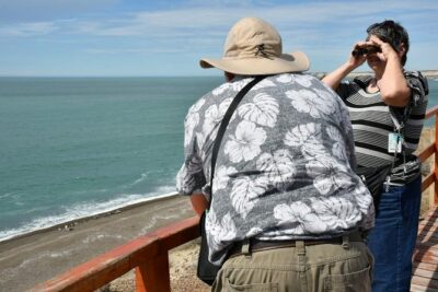 The Best of Peninsula Valdés in one day