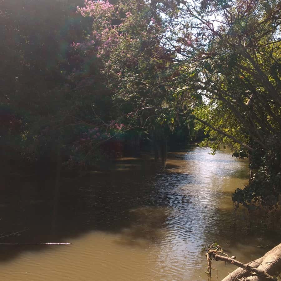 The hidden Treasures of Tigre - Why This Tigre Route Is Different