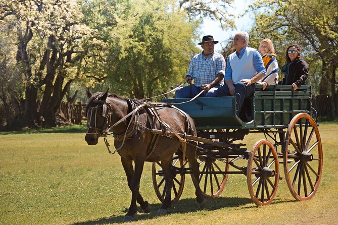 The Most Traditional Fiesta Gaucha in Buenos Aires - Who will enjoy this estancia day most?