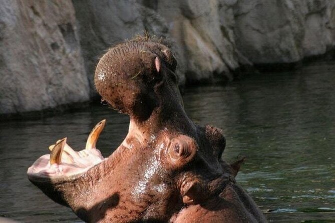 Tickets to Temaikén Biopark - What the $34 ticket is really worth
