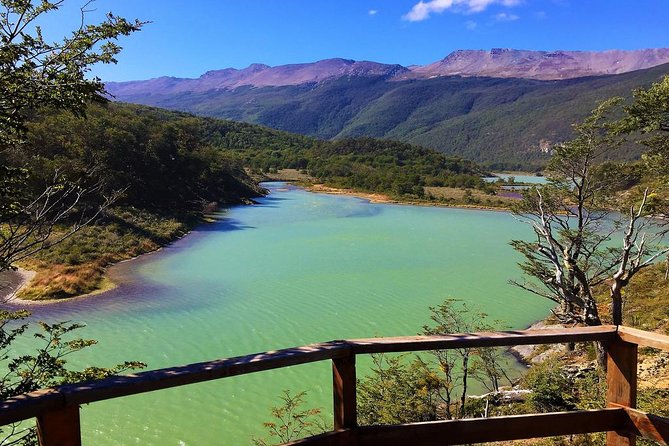 Tierra del Fuego National Park - What this five-hour Ushuaia outing actually delivers