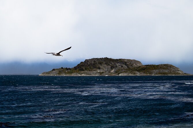 Tierra Del Fuego National Park and Fin del Mundo Train (INCLUDED) - Weather, walking, mud, and mosquitoes