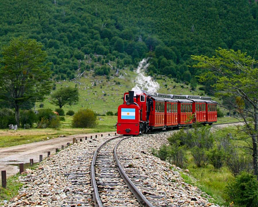 Tierra del Fuego Park & Train Tour for Cruisers (no tickets) - Meeting the Yellow Penguin team at Ushuaia Port