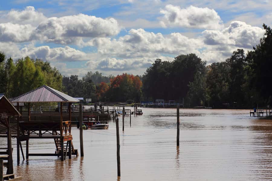 Tigre: River Delta Panoramic Boat Tour - The Luján River begins the broad view