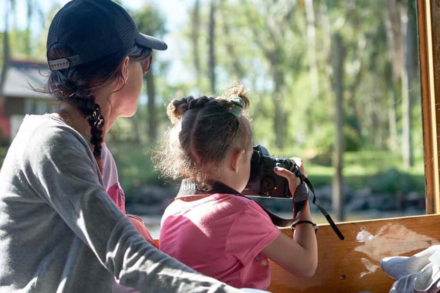 Tigre: River Delta Panoramic Boat Tour - Leaving from Tigre’s Fluvial Station